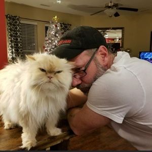 Meet your Posher, Rex